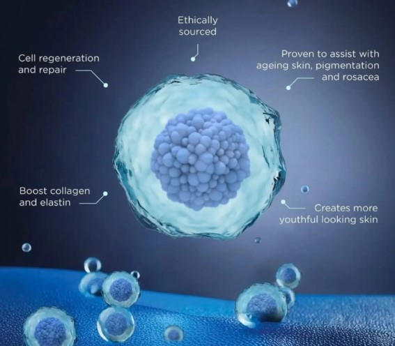 MG-EXO-SKIN exosomes by DP Dermaceuticals