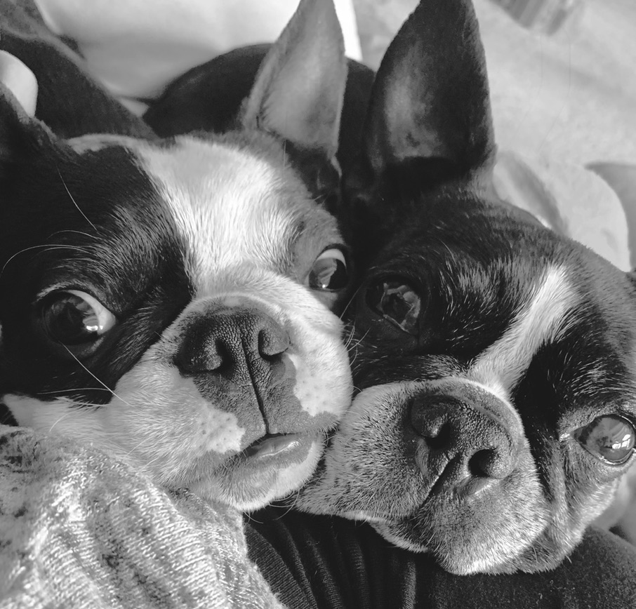 Lola and Rex — the inspiration behind La Ru Medical Spa
